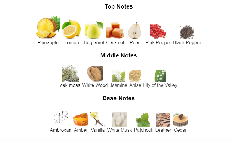 Armaf Club de Nuit Precieux EDP 55ml – Bold Chypre Amber Fragrance for Men | Spicy-Woody Scent, Perfect for Daily Sophistication