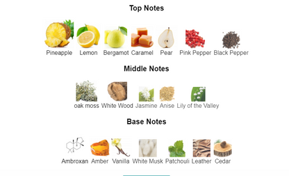 Armaf Club de Nuit Precieux EDP 55ml – Bold Chypre Amber Fragrance for Men | Spicy-Woody Scent, Perfect for Daily Sophistication